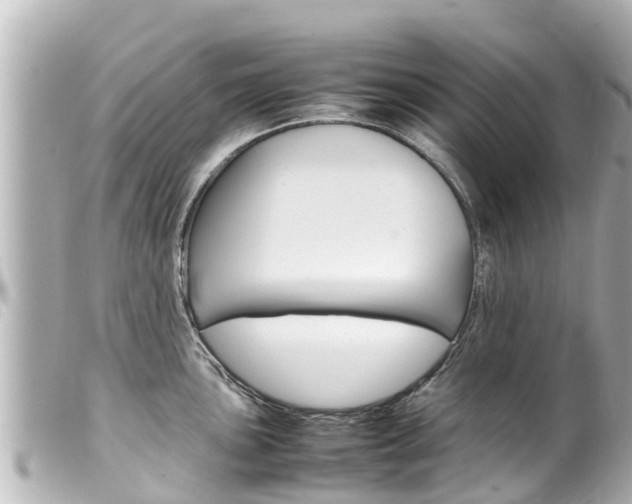X0000100221051200805300743
