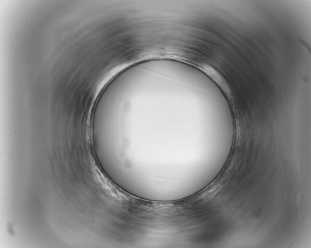 X0000100221052200805300743
