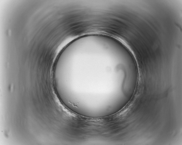 X0000100221053200805300743