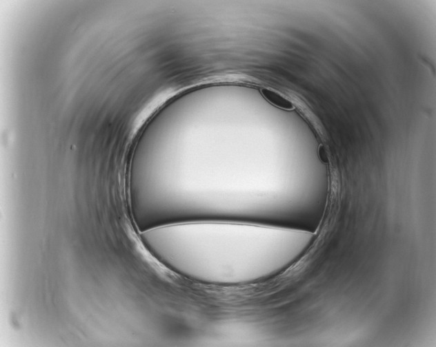 X0000100221054200805300743