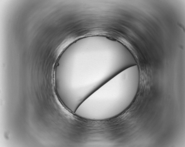 X0000100221055200805300743