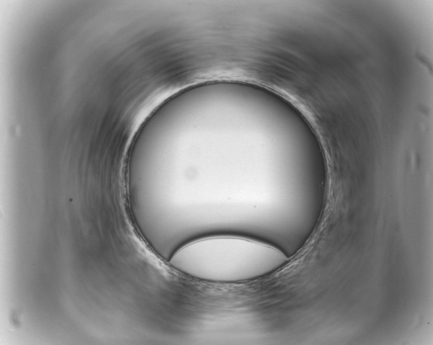 X0000100221056200805300743
