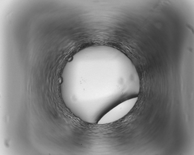 X0000100221057200805300743