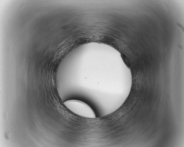 X0000100221058200805300743