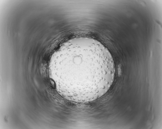 X0000100221059200805300743