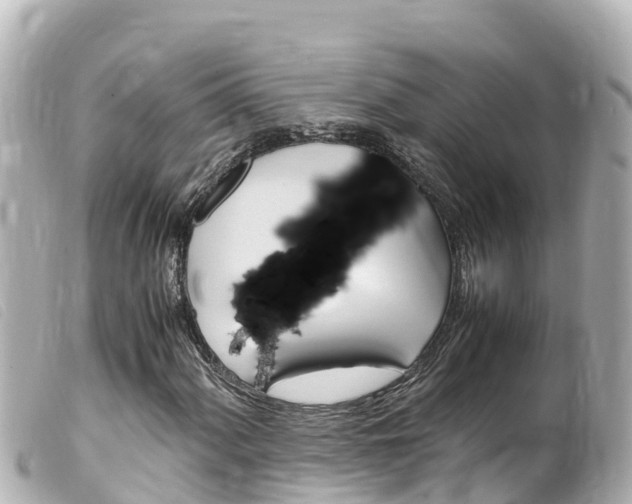 X0000100221060200805300743