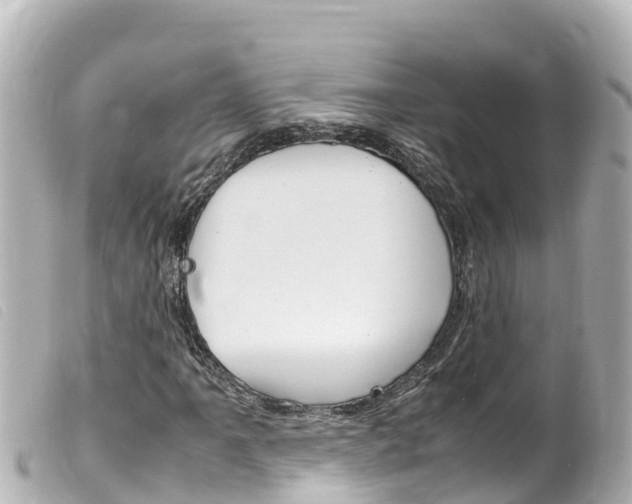X0000100221061200805300743