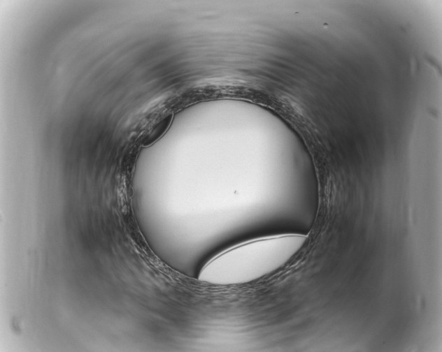 X0000100221062200805300743