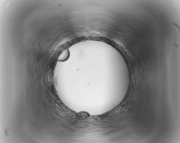 X0000100221063200805300743