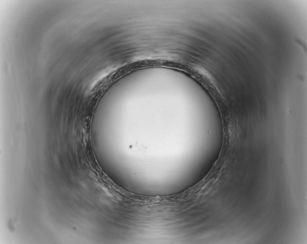 X0000100221064200805300743