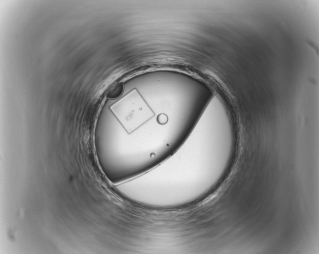 X0000100221065200805300743