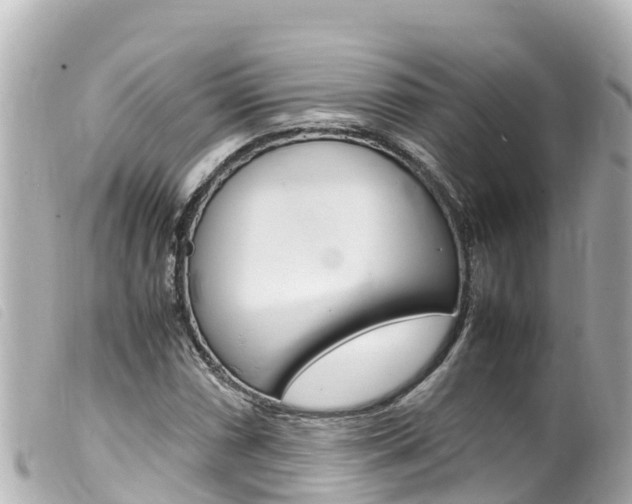 X0000100221066200805300743