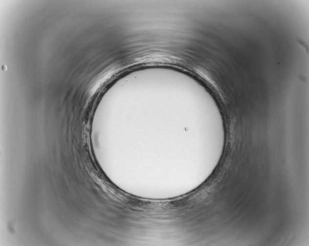 X0000100221067200805300743