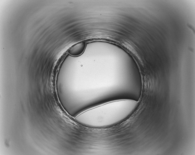 X0000100221068200805300743
