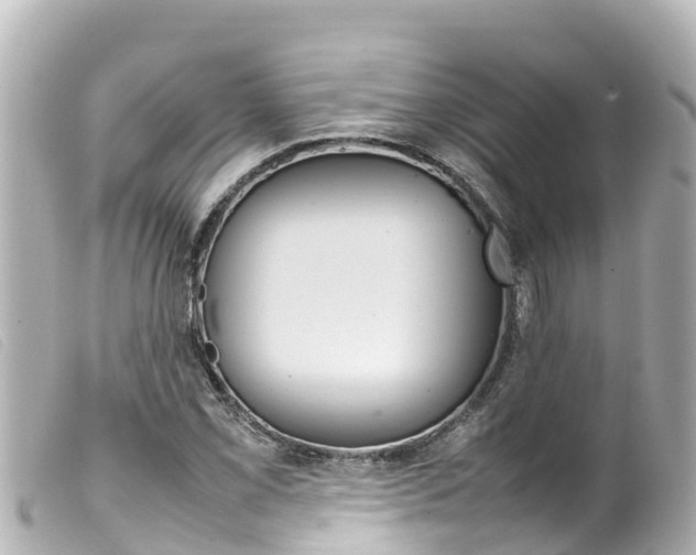 X0000100221069200805300743