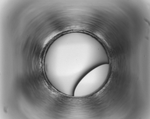 X0000100221070200805300743