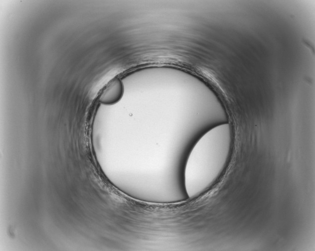 X0000100221071200805300742