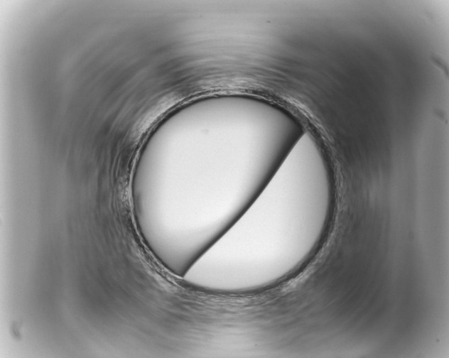 X0000100221073200805300742