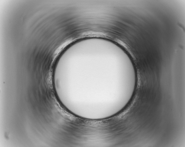 X0000100221074200805300742