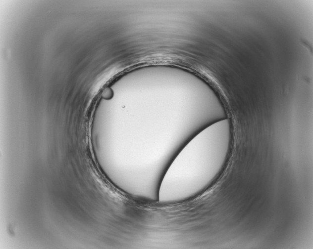 X0000100221075200805300742