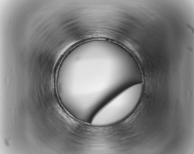 X0000100221076200805300742