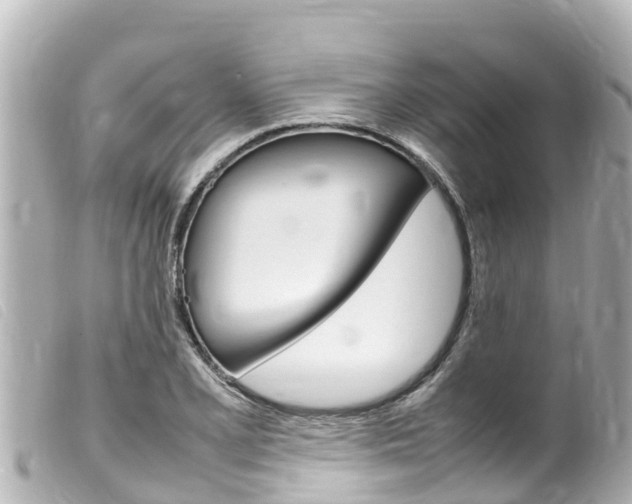 X0000100221077200805300742