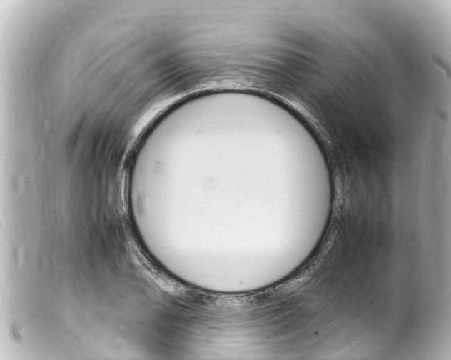 X0000100221078200805300742