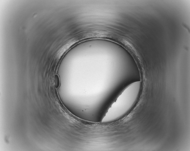 X0000100221081200805300742
