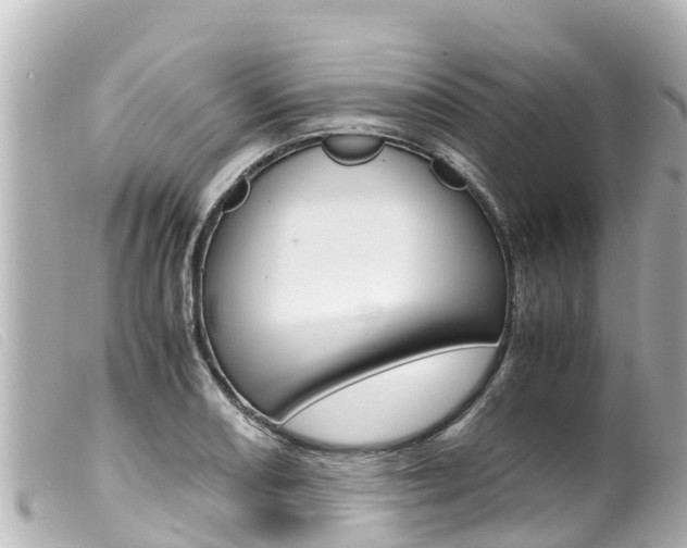 X0000100221082200805300742