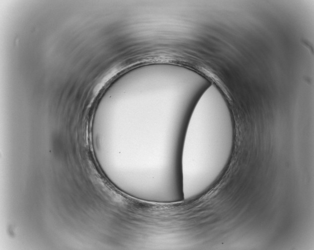 X0000100221083200805300742