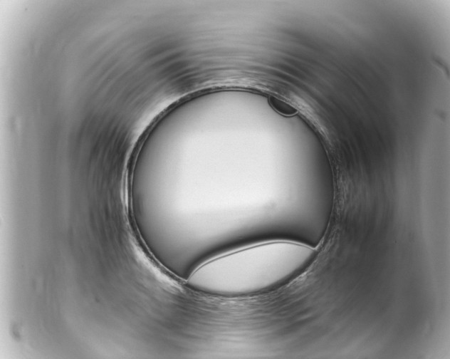 X0000100221084200805300742