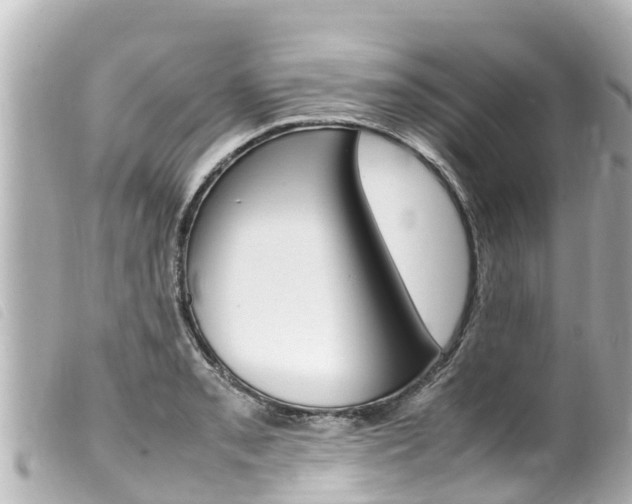 X0000100221085200805300742