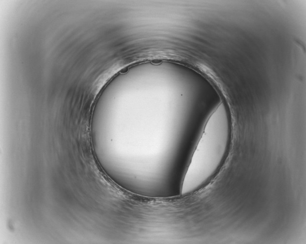X0000100221089200805300742