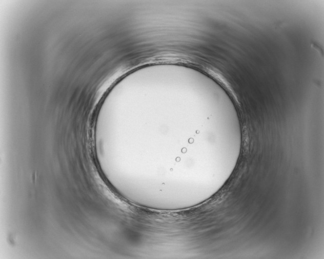 X0000100221091200805300742