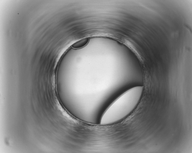X0000100221092200805300742