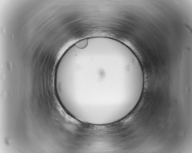X0000100221094200805300742