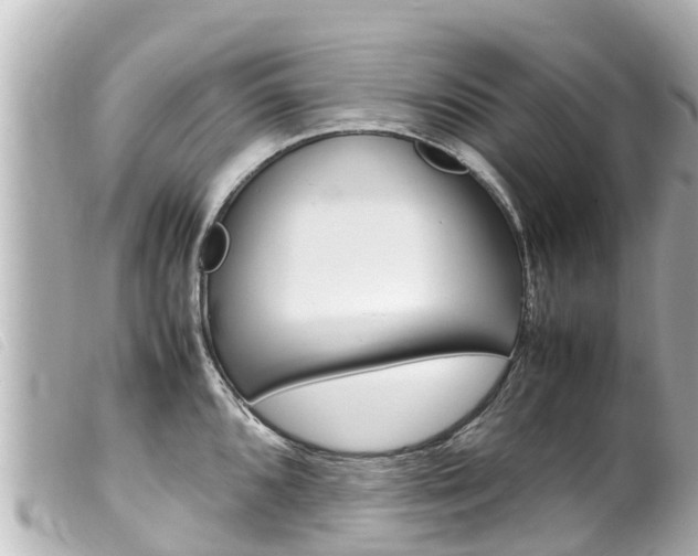 X0000100221096200805300742