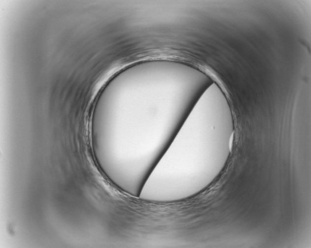 X0000100221099200805300742