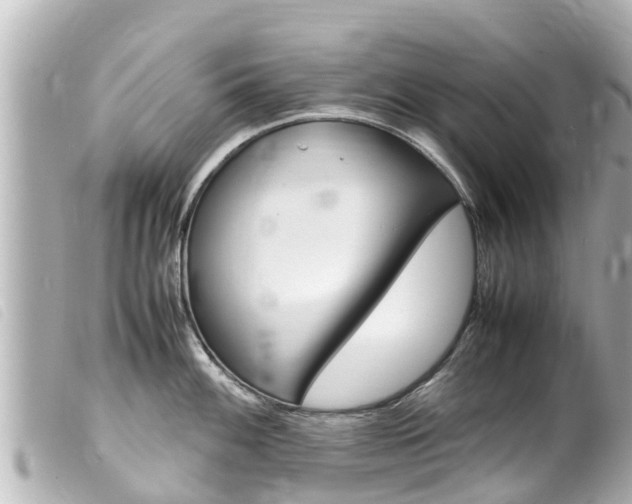 X0000100221100200805300742