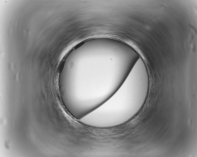 X0000100221101200805300742