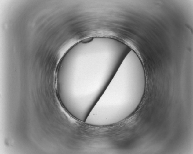 X0000100221103200805300742