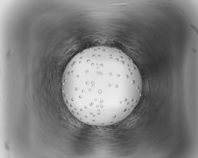 X0000100221105200805300741