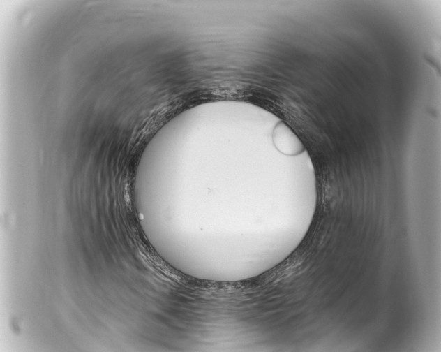 X0000100221106200805300741