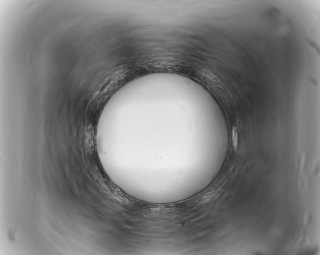 X0000100221107200805300741