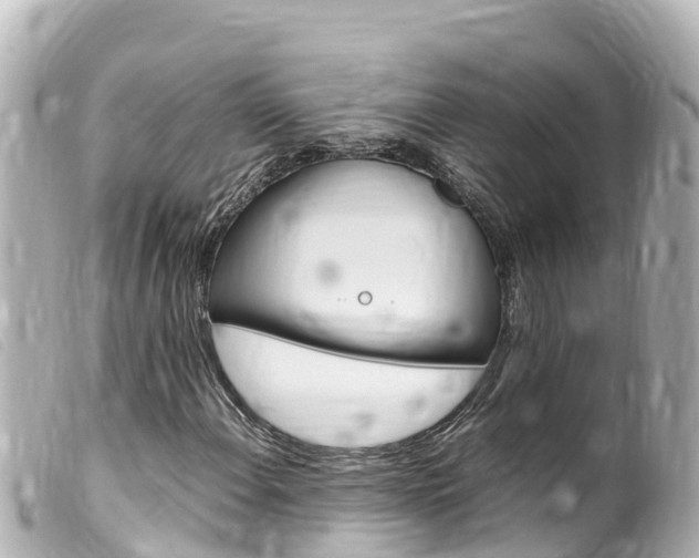 X0000100221108200805300741