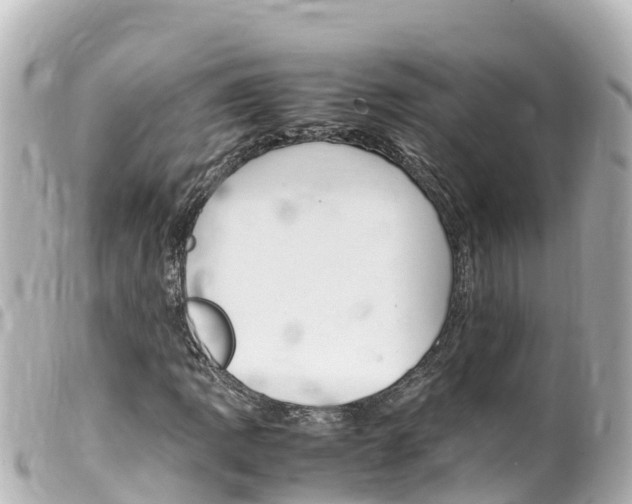 X0000100221109200805300741