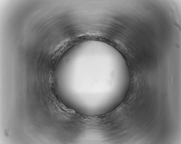 X0000100221110200805300741