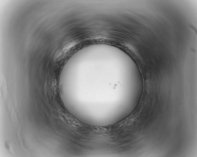 X0000100221111200805300741