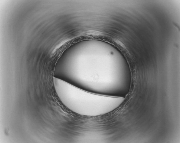 X0000100221112200805300741