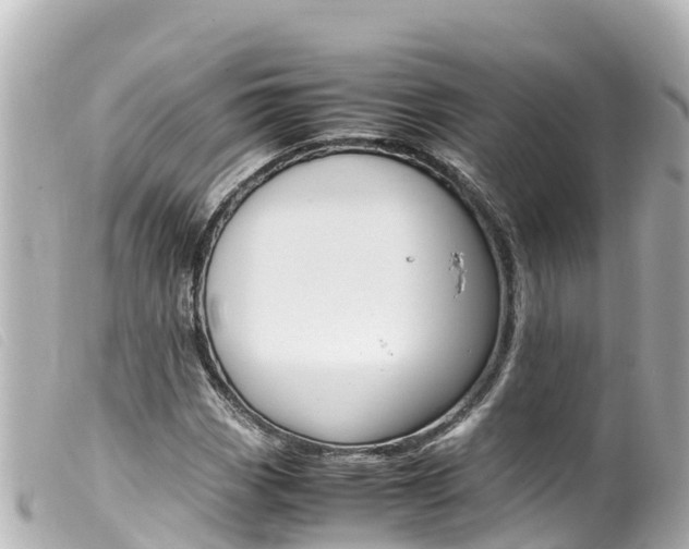 X0000100221113200805300742